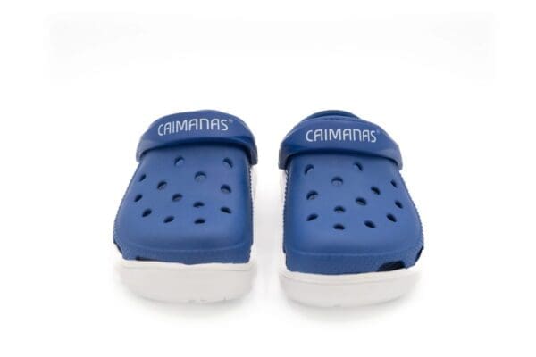 A pair of blue and white crocs shoes.